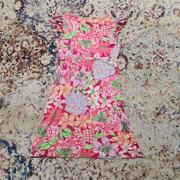 Lilly Pulitzer Cherry Dress Azalea Pink Mini Mariposa Size Medium - Picture 8 of 16
